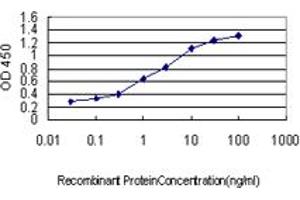 anti-Homeobox C10 (HOXC10) (AA 158-257) antibody