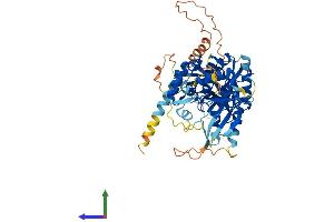 AlphaFold protein structure predicition of Human Recombinant LGSN Protein, UniprotID Q5TDP6