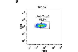 Flow Cytometry (FACS) image for anti-Tumor-Associated Calcium Signal Transducer 2 (TACSTD2) (AA 27-274) antibody (ABIN7092875)