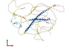 AlphaFold protein structure predicition of Human Recombinant MSL1 Protein, UniprotID Q68DK7