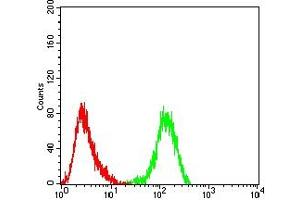 Flow cytometric analysis of Hela cells using CD131 mouse mAb (green) and negative control (red).