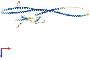 AlphaFold protein structure predicition of Human Recombinant TRAF3IP3 Protein, UniprotID Q9Y228