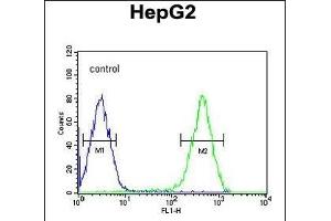 ATXN2L Antibody (C-term) (ABIN651376 and ABIN2840210) flow cytometric analysis of HepG2 cells (right histogram) compared to a negative control cell (left histogram). (Ataxin 2-Like anticorps  (C-Term))