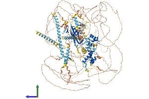 AlphaFold protein structure predicition of Human Recombinant RERE Protein, UniprotID Q9P2R6