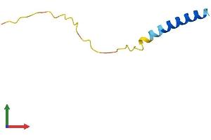 AlphaFold protein structure predicition of Human Recombinant LENEP Protein, UniprotID Q9Y5L5