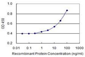 Detection limit for recombinant GST tagged NAT14 is 1 ng/ml as a capture antibody. (NAT14 anticorps  (AA 1-56))
