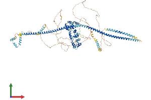 AlphaFold protein structure predicition of Human Recombinant PPFIBP1 Protein, UniprotID Q86W92
