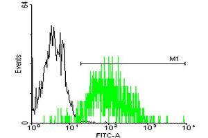 FACS analysis of A-431 cells stained with STIP1 monoclonal antibody clone 2E11 (Green) and non-stained A-431 cells (Black) as negative control.