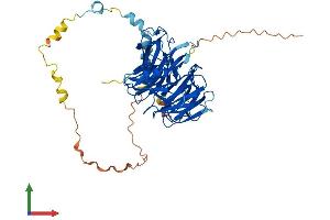 AlphaFold protein structure predicition of Human Recombinant PWP1 Protein, UniprotID Q13610