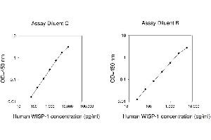 ELISA image for WNT1 Inducible Signaling Pathway Protein 1 (WISP1) ELISA Kit (ABIN1979347) (WISP1 Kit ELISA)