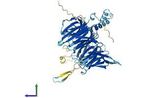 AlphaFold protein structure predicition of Human Recombinant DCAF17 Protein, UniprotID Q5H9S7