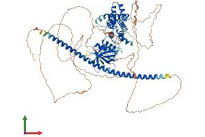 AlphaFold protein structure predicition of Mouse Recombinant Arhgap24 Protein, UniprotID Q8C4V1