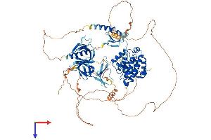 AlphaFold protein structure predicition of Human Recombinant ARHGAP12 Protein, UniprotID Q8IWW6