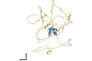 AlphaFold protein structure predicition of Human Recombinant IRX3 Protein, UniprotID P78415
