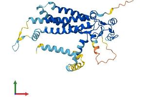 AlphaFold protein structure predicition of Human Recombinant ZDHHC4 Protein, UniprotID Q9NPG8