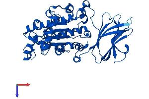 SEC14-Like 3 (SEC14L3) (AA 1-400) protein (His tag)