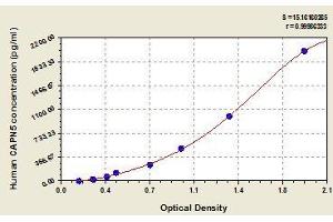 Typical standard curve (Calpain 5 Kit ELISA)