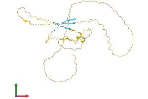AlphaFold protein structure predicition of Mouse Recombinant Proca1 Protein, UniprotID B0QZF7