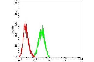 Flow cytometric analysis of THP-1 cells using CD34 mouse mAb (green) and negative control (red). (CD34 anticorps  (AA 32-290))