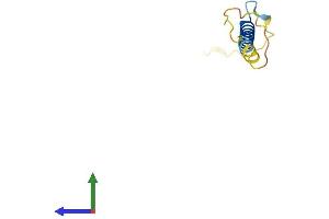 AlphaFold protein structure predicition of Human Recombinant FXYD7 Protein, UniprotID P58549