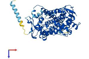 AlphaFold protein structure predicition of Human Recombinant CYP2F1 Protein, UniprotID P24903