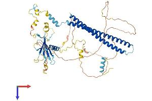 AlphaFold protein structure predicition of Human Recombinant PALMD Protein, UniprotID Q9NP74