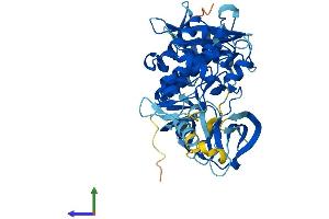 AlphaFold protein structure predicition of Mouse Recombinant Ptk6 Protein, UniprotID Q64434