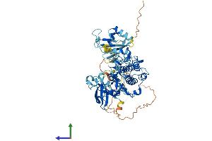 AlphaFold protein structure predicition of Mouse Recombinant Prkcz Protein, UniprotID Q02956