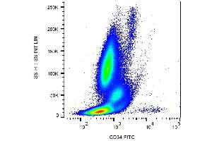 Surface staining of CD34+ cells in human peripheral blood with anti-CD34 (581) FITC. (CD34 anticorps  (FITC))