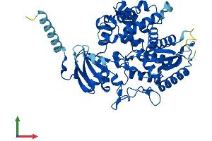 AlphaFold protein structure predicition of Human Recombinant CYP7A1 Protein, UniprotID P22680