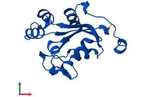 AlphaFold protein structure predicition of Human Recombinant NME2 Protein, UniprotID P22392