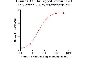 ELISA plate pre-coated by 2 μg/mL (100 μL/well) Human CA9, His tagged protein (ABIN6964087, ABIN7042429 and ABIN7042430) can bind Anti-CA9 Neutralizing antibody ABIN7093059 and ABIN7272589 in a linear range of 0.