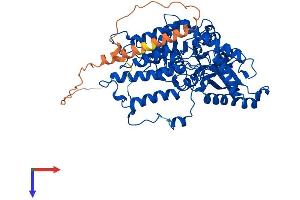 AlphaFold protein structure predicition of Human Recombinant GAD1 Protein, UniprotID Q99259