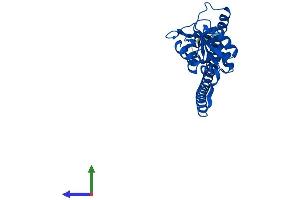 AlphaFold protein structure predicition of Human Recombinant RPL7 Protein, UniprotID P18124