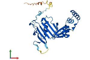 AlphaFold protein structure predicition of Mouse Recombinant Pnpo Protein, UniprotID Q91XF0