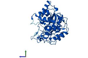 AlphaFold protein structure predicition of Human Recombinant AKR1D1 Protein, UniprotID P51857