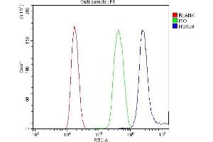 Flow Cytometry analysis of K562 cells using anti-HOXB9 antibody (ABIN7602119).