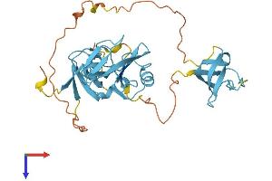 AlphaFold protein structure predicition of Mouse Recombinant Crkl Protein, UniprotID P47941
