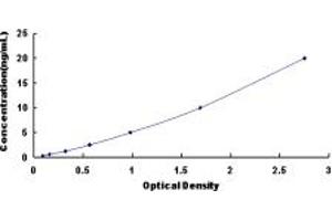Lysophosphatidylcholine Acyltransferase 2 (LPCAT2) ELISA Kit