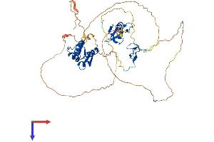 AlphaFold protein structure predicition of Human Recombinant MDM2 Protein, UniprotID Q00987