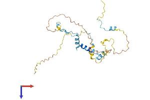 AlphaFold protein structure predicition of Human Recombinant MYOZ3 Protein, UniprotID Q8TDC0