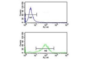 RAB7 antibody flow cytometry analysis of K562 cells (bottom histogram) compared to a negative control (top histogram). (RAB7A anticorps  (AA 176-204))