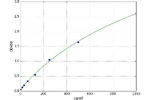 Glutamate-Cysteine Ligase, Modifier Subunit (GCLM) ELISA Kit