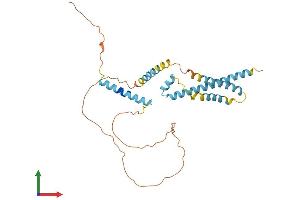 AlphaFold protein structure predicition of Human Recombinant CAMLG Protein, UniprotID P49069