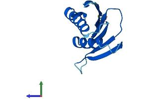 AlphaFold protein structure predicition of Mouse Recombinant Psmg4 Protein, UniprotID P0C7N9