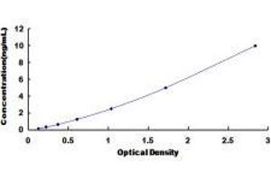 Retinoschisin 1 (RS1) ELISA Kit