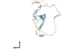 AlphaFold protein structure predicition of Human Recombinant PINX1 Protein, UniprotID Q96BK5