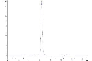 The purity of Biotinylated Human Notch 2 is greater than 95 % as determined by SEC-HPLC.