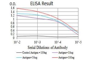 Black line: Control Antigen (100 ng),Purple line: Antigen (10 ng), Blue line: Antigen (50 ng), Red line:Antigen (100 ng) (P2RY14 anticorps)