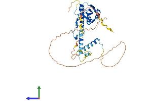 AlphaFold protein structure predicition of Mouse Recombinant Rbm48 Protein, UniprotID Q8K2X2